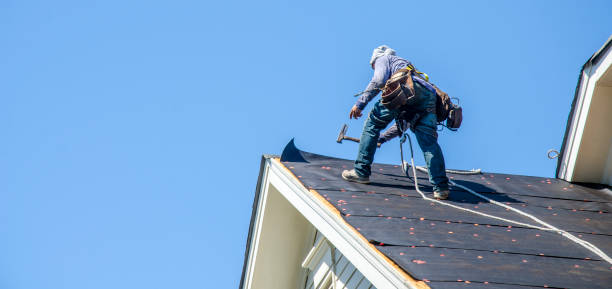 Best Storm Damage Roof Repair  in Utica, NE